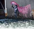 El Banksy de Venecia