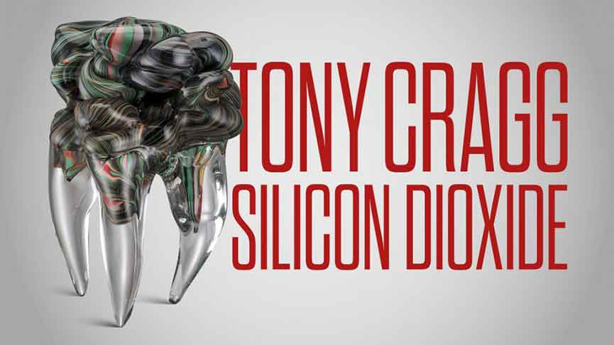 Mostra Tony Cragg. Silicon Dioxide Venezia